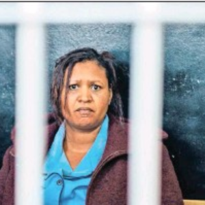 Read more about the article Moena the heart of ‘Suidooster’